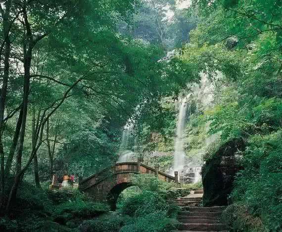 首个草鱼肠道微生物基因目录建成